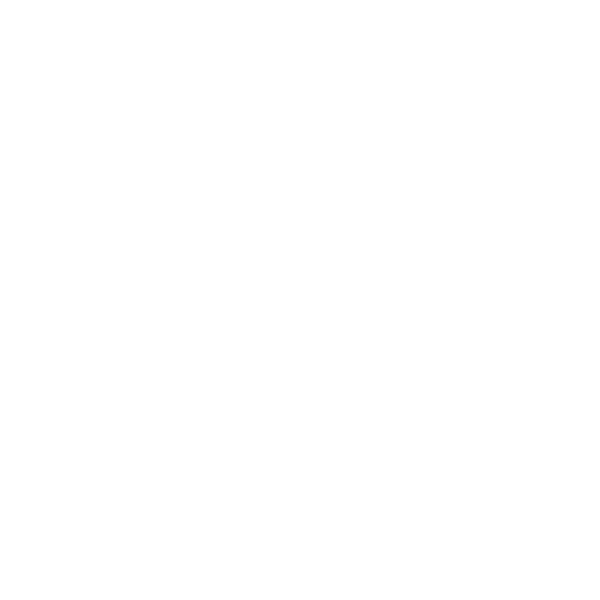M.S. Ambrogio North America